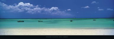 palm-beach-aruba-caribbean