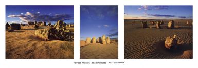 the-pinnacles-west-australia