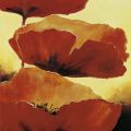 Jettie Roseboom - Three Red Poppies I
