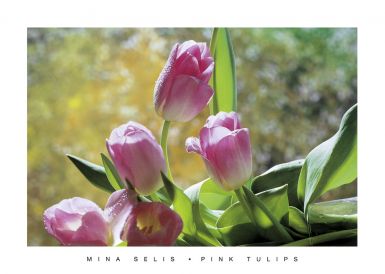 pink-tulips-ii