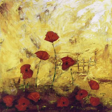 coquelicots-sauvages
