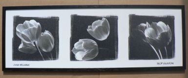 obrazy-trio-tulip
