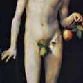 Albrecht Dürer - Adam