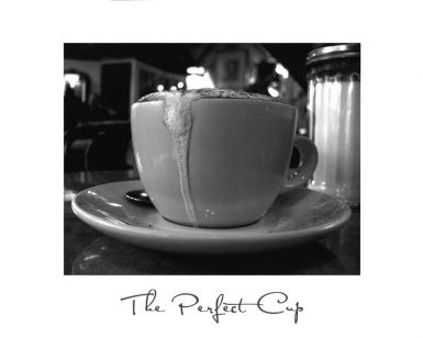 the-perfect-cup