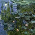 Claude Monet - Seerosen