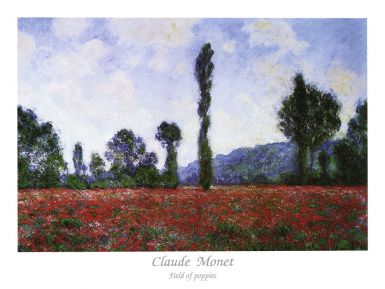 field-of-poppies-ii