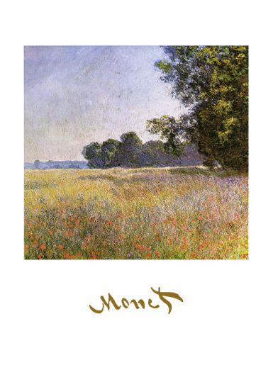 oat-fields
