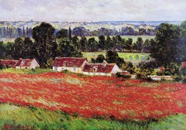 field-of-poppies-i