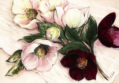 elegant-anemones