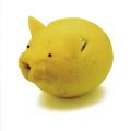 Elffers & Freyman - Lemon Pig