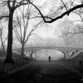 Henri Silberman - Gothic Bridge, Central Park NYC