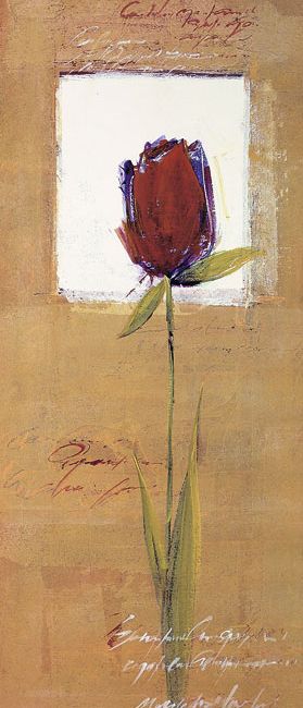 tulipan-i