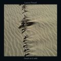 Laurent Pinsard - Details sur le sable
