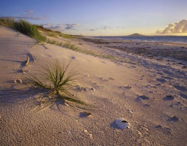 northland-karikari-bay