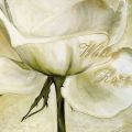 Heidi Gerstner - White Roses II