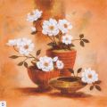 Claudia Ancilotti - Beauty of flowers - Emanuele
