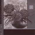 Claudia Ancilotti - Black Luxury