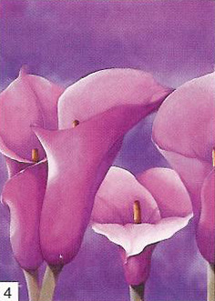 passion-in-pink