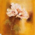 Anna Gardner - Glowing White Poppy