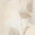 Vivien White - Armonia con Amore