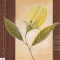Vivien White - Dancing Leafs