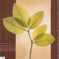 Vivien White - Lucent Leafs