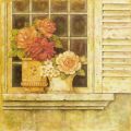 Obrazy - Květiny na okně IV