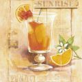 Sonia Svenson - Drink - Tequila Sunrie