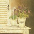 Kathryn White - Obrazy - Fritillaria Cloche
