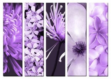 obrazy-na-platne-fialove-kvety