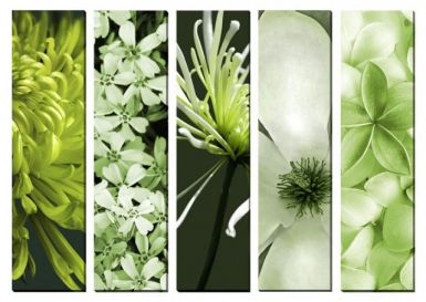obrazy-na-platne-zelene-kvety