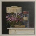 Angela Staehling - Provence - JARDEN DE ANTIQUITES