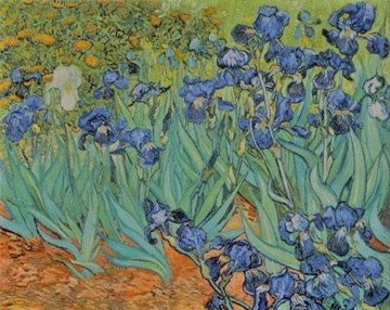 irises