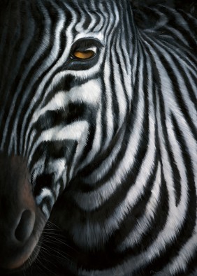 zebra-i