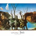 Salvador Dalí - Reflections of Elephants