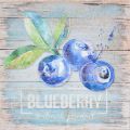 Obrazy na plátně - Blueberry