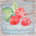 Obrazy na plátně - Raspberry