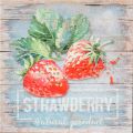 Obrazy na plátně - Strawberry
