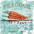 Obrazy na plátně - Peacock Carrots 