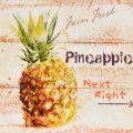 Obrazy na plátně - X Pineapple
