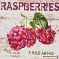Obrazy na plátně - Raspberries