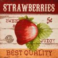 Obrazy na plátně - Strawberries