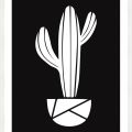 Rámované obrazy - Kaktus (černobílý)