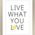 Rámované obrazy - Live What You Love