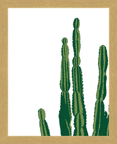 ramovane-obrazy-kaktus