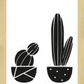 Rámované obrazy - Kaktusy