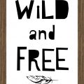 Rámované obrazy - Wild and FREE