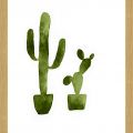 Rámované obrazy - Kaktusky