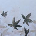 Cesano Boscone - Obrazy - Barbera fly of Leaves II