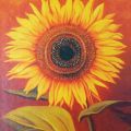 Obrazy - květ Slunečnice